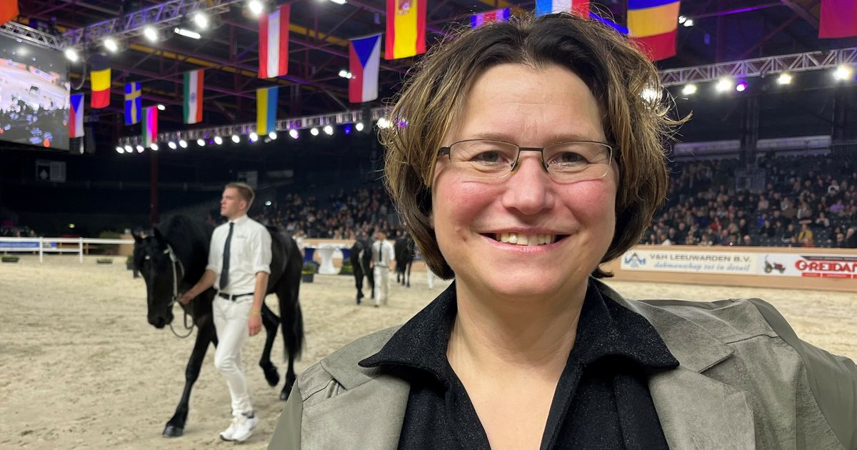 Sabien Zwaga is jury bij de Hengstenkeuring: "Ik denk iedere keer: waar begin ik aan?" - Omrop Fryslân