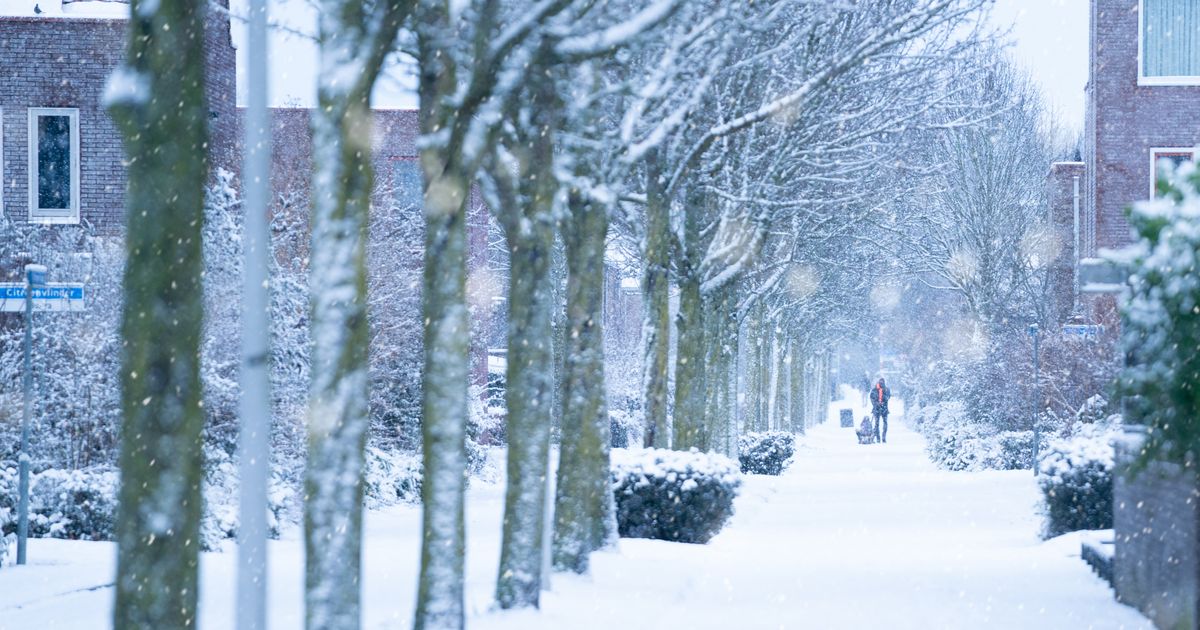 Scholen in Emmen eerder dicht door sneeuw: 'Het is maar 4 graden in het lokaal'