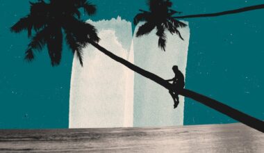 Hoe een tropisch eilandje in de Stille Oceaan Trumps nieuwe doelwit de weg wijst - Het Financieele Dagblad