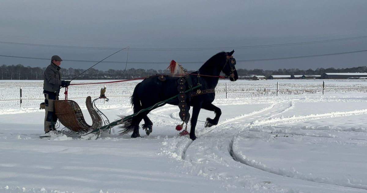 Winterse omstandigheden nog niet uit de lucht - L1 Nieuws