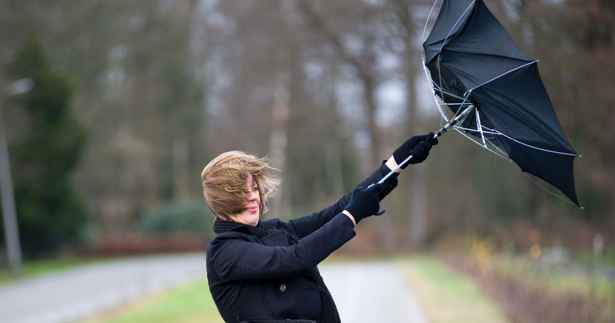 Met een stevige wind het nieuwe jaar in, morgen natte sneeuw