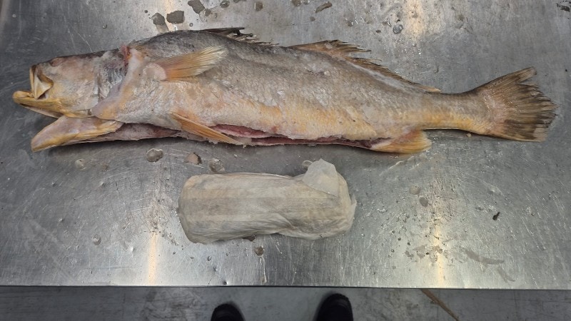 Ruim 300 kilo cocaïne aangetroffen in bevroren vis