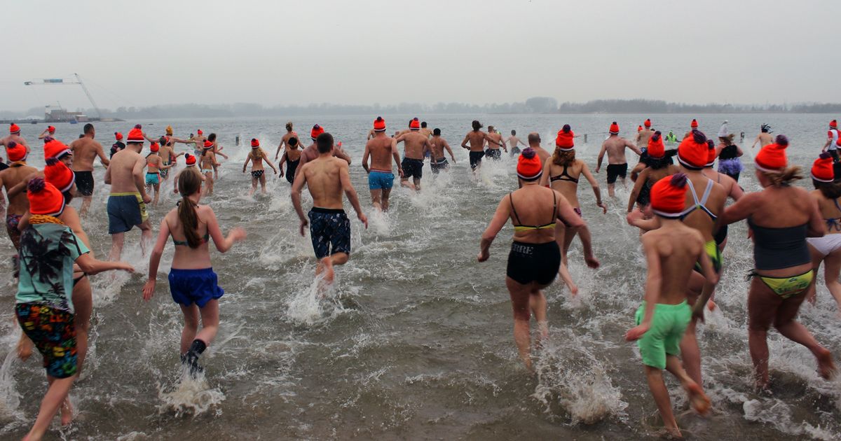 Nieuwjaarsduiken afgelast vanwege de harde wind - Rijnmond