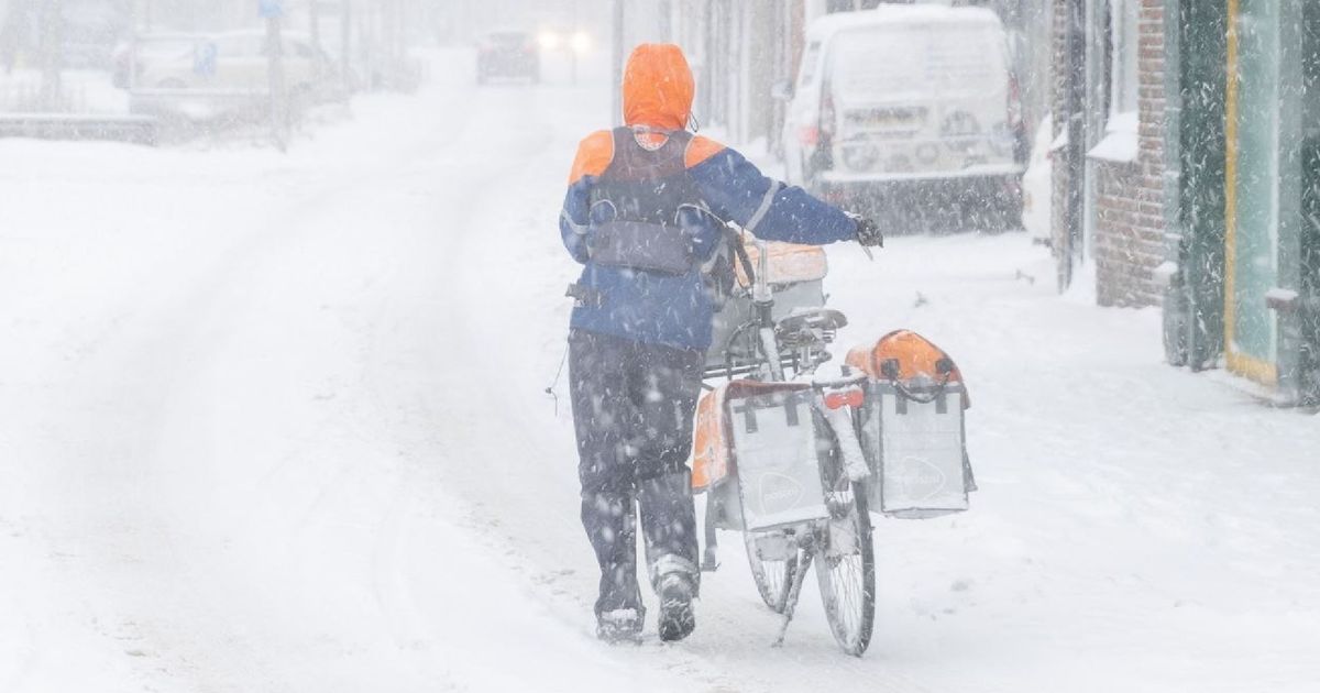Na flinke sneeuwval volgt meer winterweer: ‘Vrijdagochtend wordt chaos op de weg’