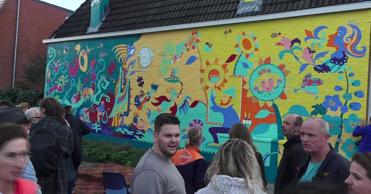 Muurschildering Vechtstraat moet echt weg, omwonenden geven strijd nog niet op