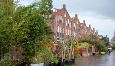 Amsterdam wil alleen nog 100 procent gifvrije planten