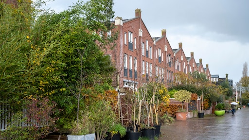 Amsterdam wil alleen nog 100 procent gifvrije planten