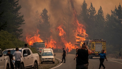 Bosbranden in Argentijns Patagonië verwoesten 12.000 hectare bos