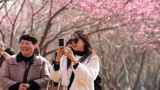 'Leven is hier hard en deprimerend'