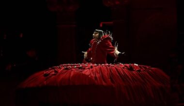 Ophef over teamuitje naar Lady Gaga van Belgisch spoorbedrijf