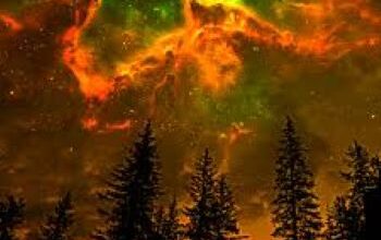 Hagetisse – To Wither Beneath Thy Radiance