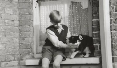 Jeugdhuis David Bowie in Londen wordt publiek toegankelijk