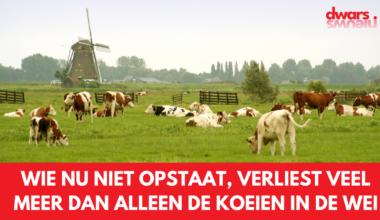 Wie nu niet opstaat, verliest veel meer dan alleen de koeien in de wei *column*
