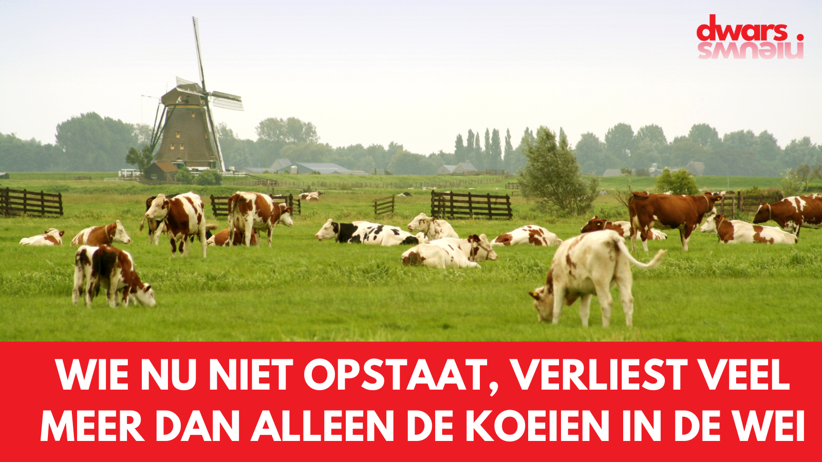 Wie nu niet opstaat, verliest veel meer dan alleen de koeien in de wei *column*