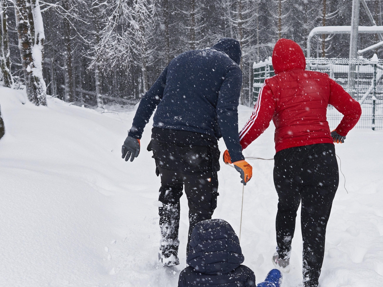Verse sneeuw in aantocht: KMI zegt hoeveel centimeter er gaat vallen