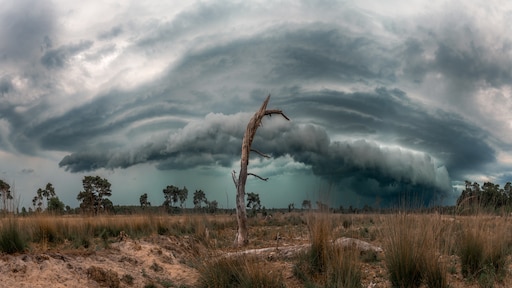 dit is de beste weerfoto 2025