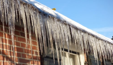 Zeer koude nacht, vanavond zet de dooi in met mogelijk ijzel