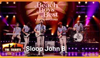 WW Van Willigenburg 15 januari 2026_BEELD