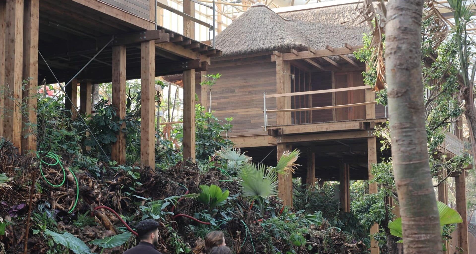 Pairi Daiza maakt openingsdatum 4 hectare grote tropische kas bekend