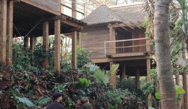 Pairi Daiza maakt openingsdatum 4 hectare grote tropische kas bekend