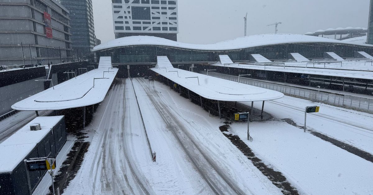 Geen bussen en trams meer vandaag in provincie Utrecht - RTV Utrecht