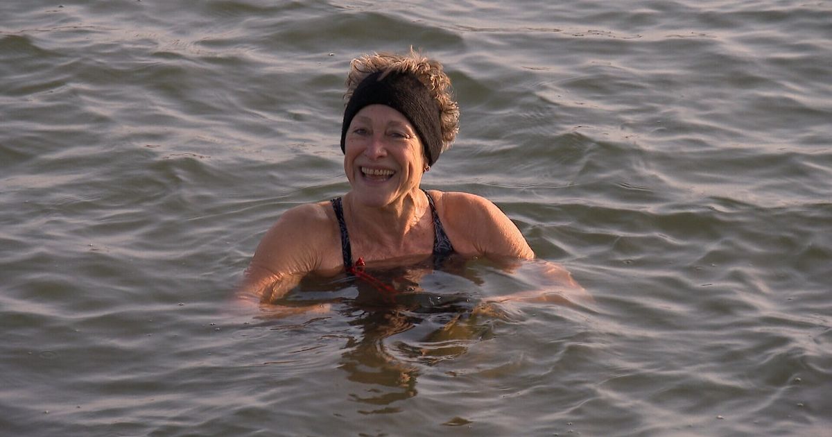 Deze mensen zwemmen het hele jaar door: 'De meeste mensen verklaren me voor gek'