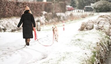 Eropuit in de natuur? Dit is er in januari te doen in Groningen