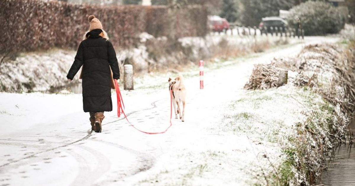 Eropuit in de natuur? Dit is er in januari te doen in Groningen