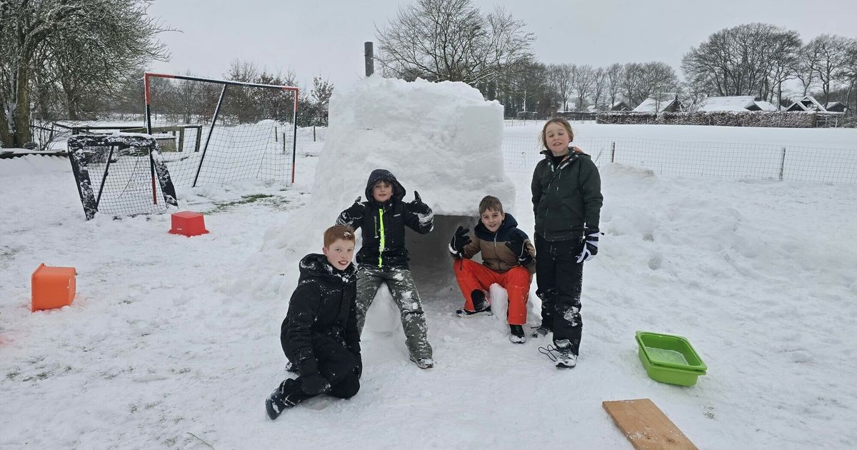 Sneeuwjacht in De Onlanden, gevoelstemperatuur naar -10 - RTV Drenthe