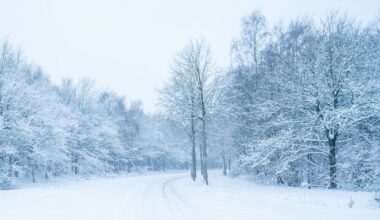 In Beeld: Toverachtig landschap om de hoek - RTV Drenthe