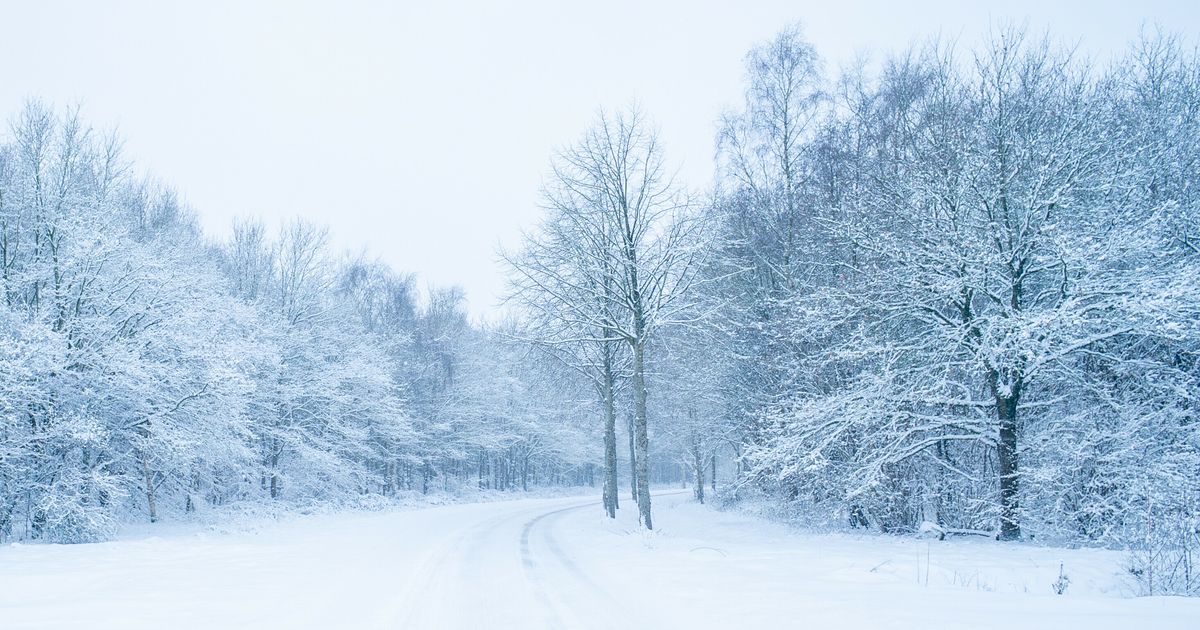 In Beeld: Toverachtig landschap om de hoek - RTV Drenthe