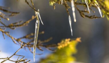 Komende week 8 tot 10 graden - RTV Utrecht