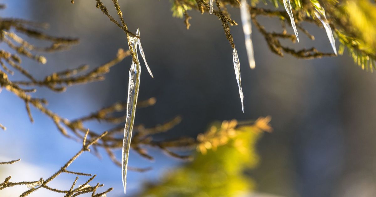 Komende week 8 tot 10 graden - RTV Utrecht