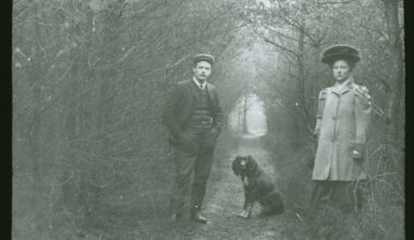 De Meester met de Camera: Egels bij de melk en een bakker met een bocheltje