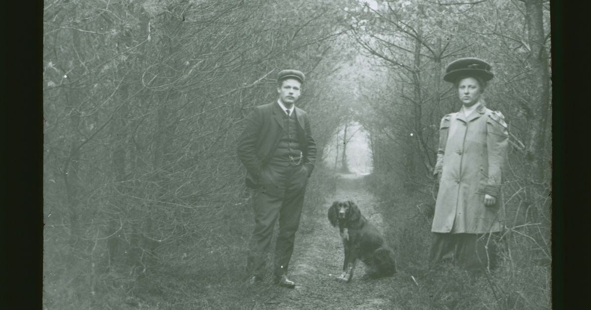 De Meester met de Camera: Egels bij de melk en een bakker met een bocheltje