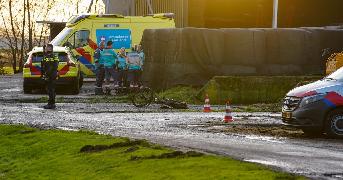 Persoon overleden bij ongeval op boerenerf in Kampen - RTV Oost