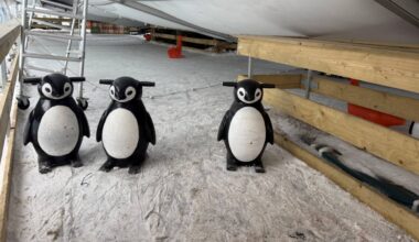 Foto: Bart Meesters/Persbureau Heitink.