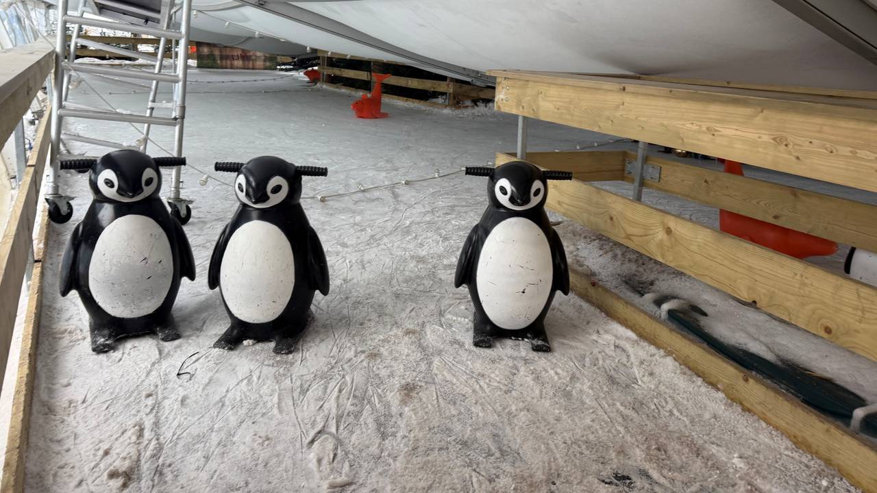 Foto: Bart Meesters/Persbureau Heitink.