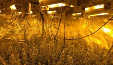 112-nieuws: Hennepkwekerij ontmanteld in Veldhoven