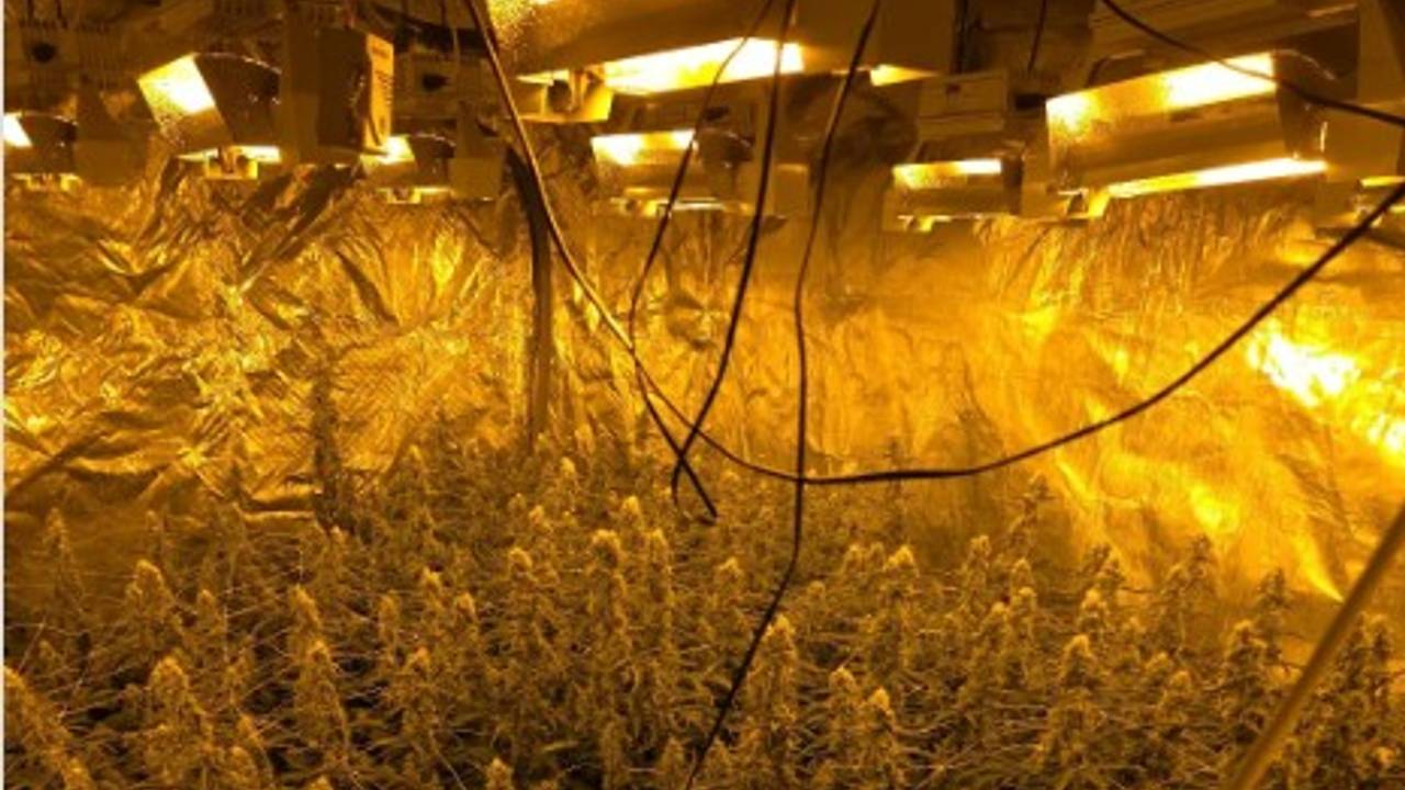 112-nieuws: Hennepkwekerij ontmanteld in Veldhoven