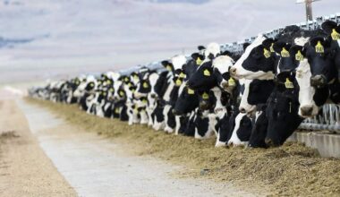 Foto van Gineke Mons