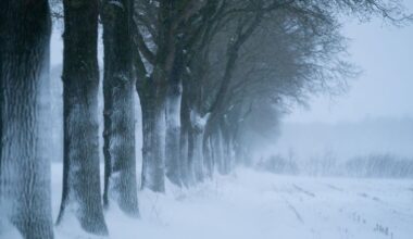 Rijkswaterstaat waarschuwt noordelijke provincies ● Treant richt slaapplekken in voor personeel