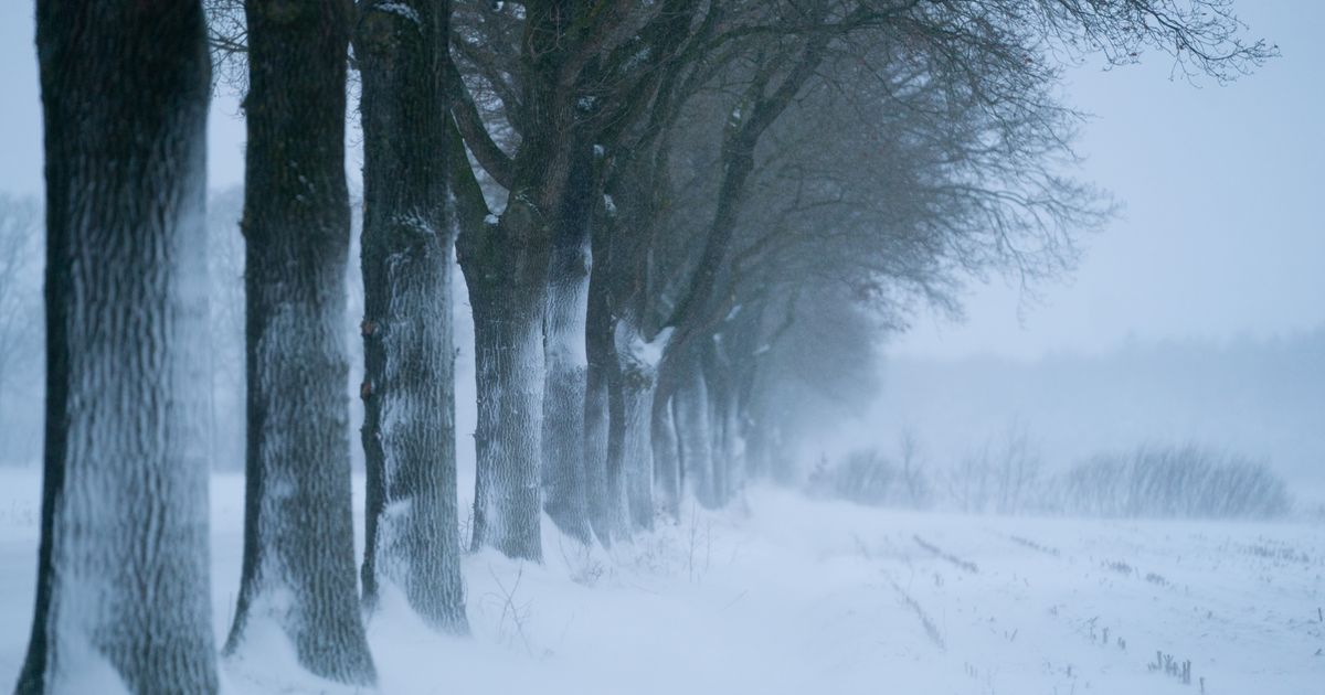 Rijkswaterstaat waarschuwt noordelijke provincies ● Treant richt slaapplekken in voor personeel