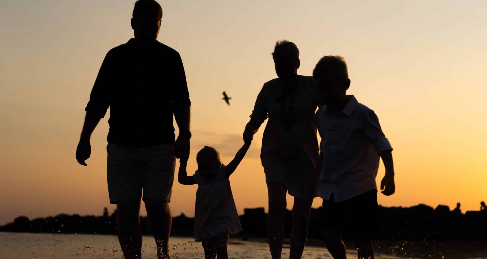 Nieuw licht op Hamilton's rule: niet één, maar vele