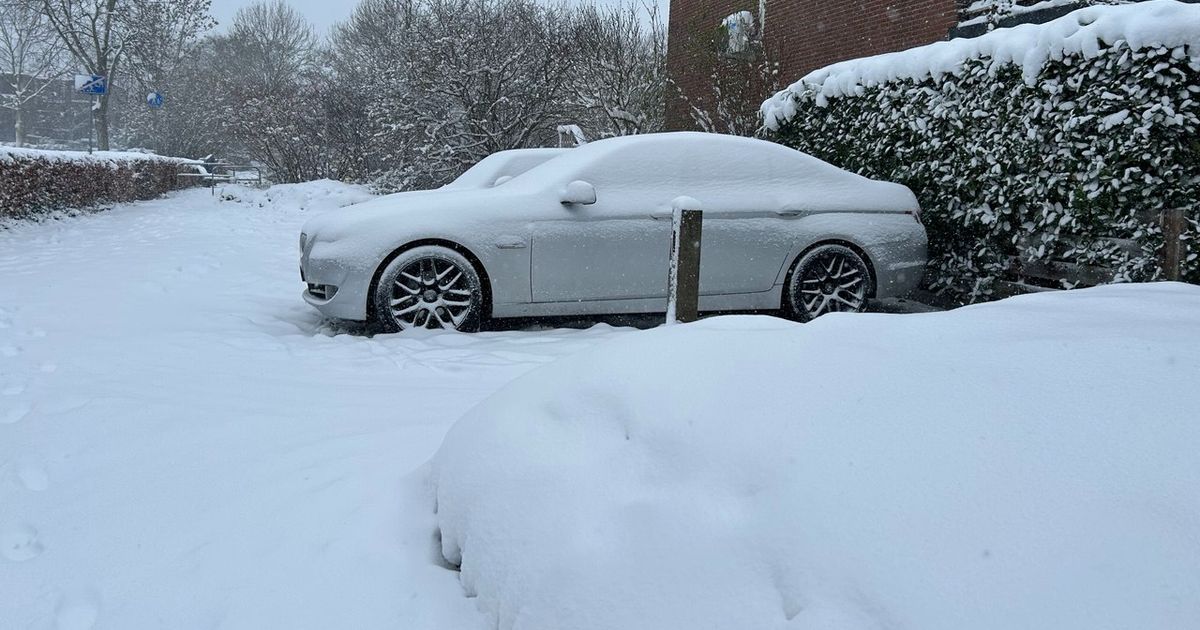 Code oranje: EBS schrapt alle bussen | Dikke pak sneeuw in Zwolle