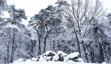 KNMI schaalt af naar code geel, gevoelstemperatuur naar -10 - RTV Drenthe