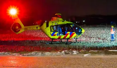 Twee honden dood na aanrijding in Oss, baasje overlijdt later