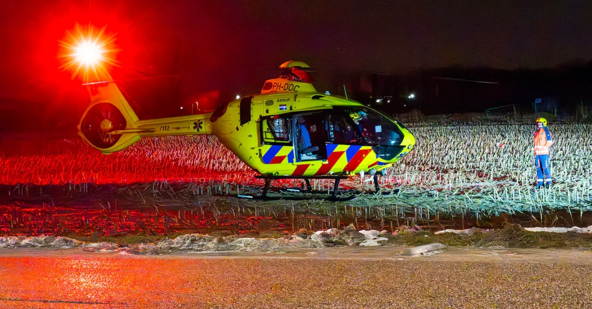 Twee honden dood na aanrijding in Oss, baasje overlijdt later