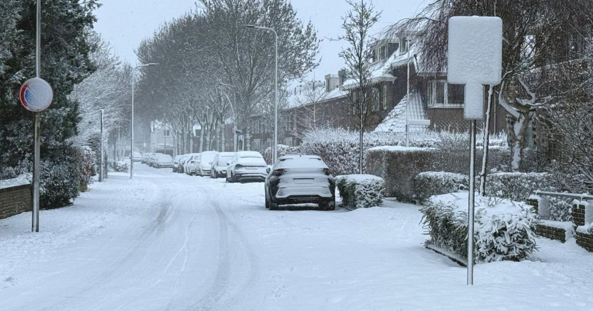 Winter keert terug: sneeuw, -10 graden én schaatsen - Omroep West