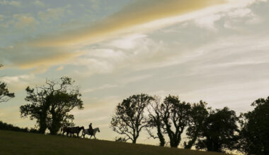 Maandag is het eindelijk zover! De hele wereld kijkt hiernaar uit: het vervolg van de allergrootste serie aller tijden op HBO Max
